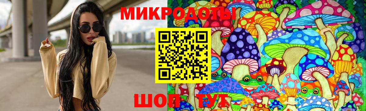 Псилоцибиновые грибы мицелий Кингисепп