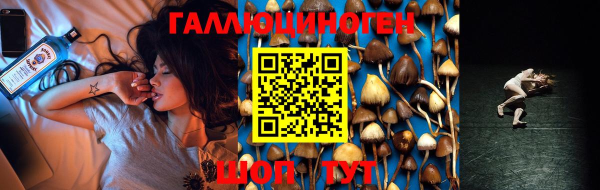 Псилоцибиновые грибы мухоморы  цена   Кингисепп  Вход с VPN  Псилоцибиновые грибы MAGIC MUSHROOMS 