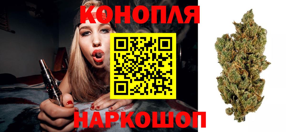 Шишки марихуана конопля  Вход с VPN  Кингисепп  Бошки марихуана марихуана  Конопля сатива 